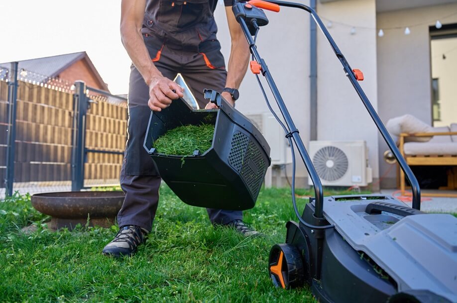 Grass clippings