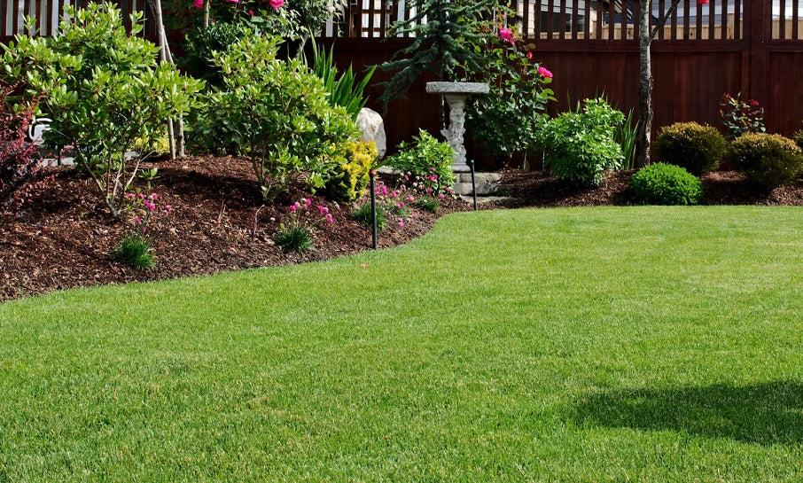 Perfectly Manicured Lawn