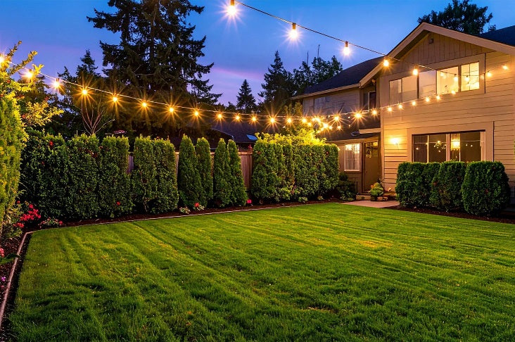 Lawn Lights